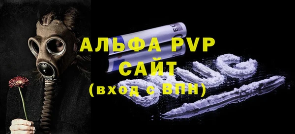 прущие грибы Вяземский