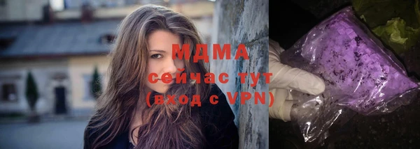 прущие грибы Вяземский
