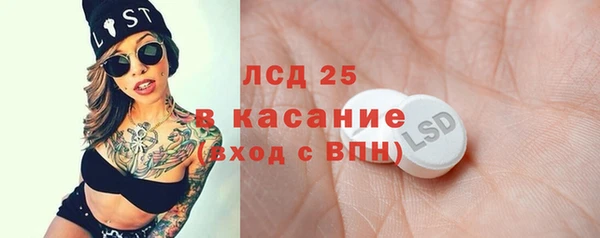 прущие грибы Вяземский