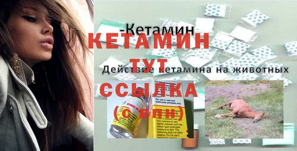 прущие грибы Вяземский