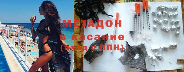 прущие грибы Вяземский