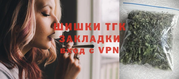 прущие грибы Вяземский