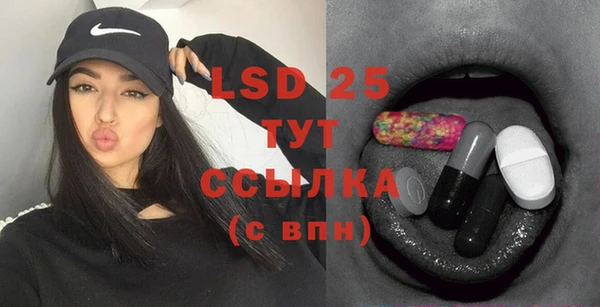прущие грибы Вяземский