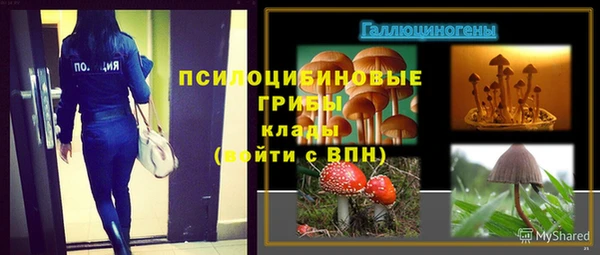 прущие грибы Вяземский