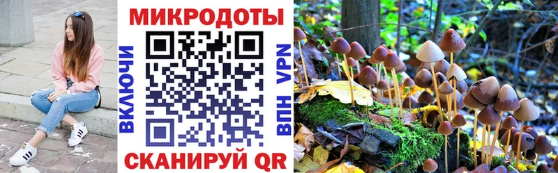 Галлюциногенные грибы Psilocybe  как найти наркотики  Мытищи 