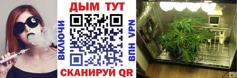 Канабис планчик  Мытищи 